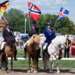 Islandpferde Weltmeisterschaft Berlin 2019