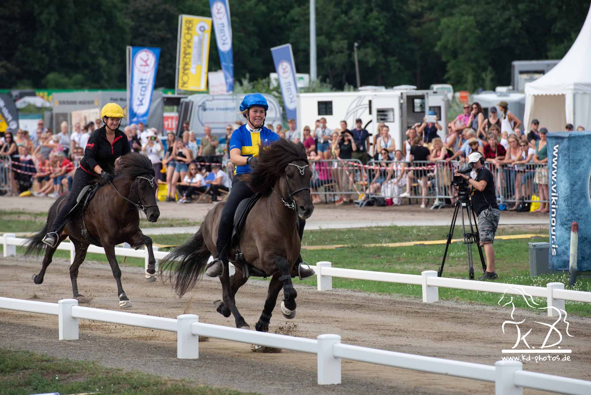 Islandpferde Weltmeisterschaft Berlin 2019 Rennpass