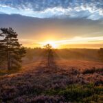 Sonnenaufgang Lüneburger Heide