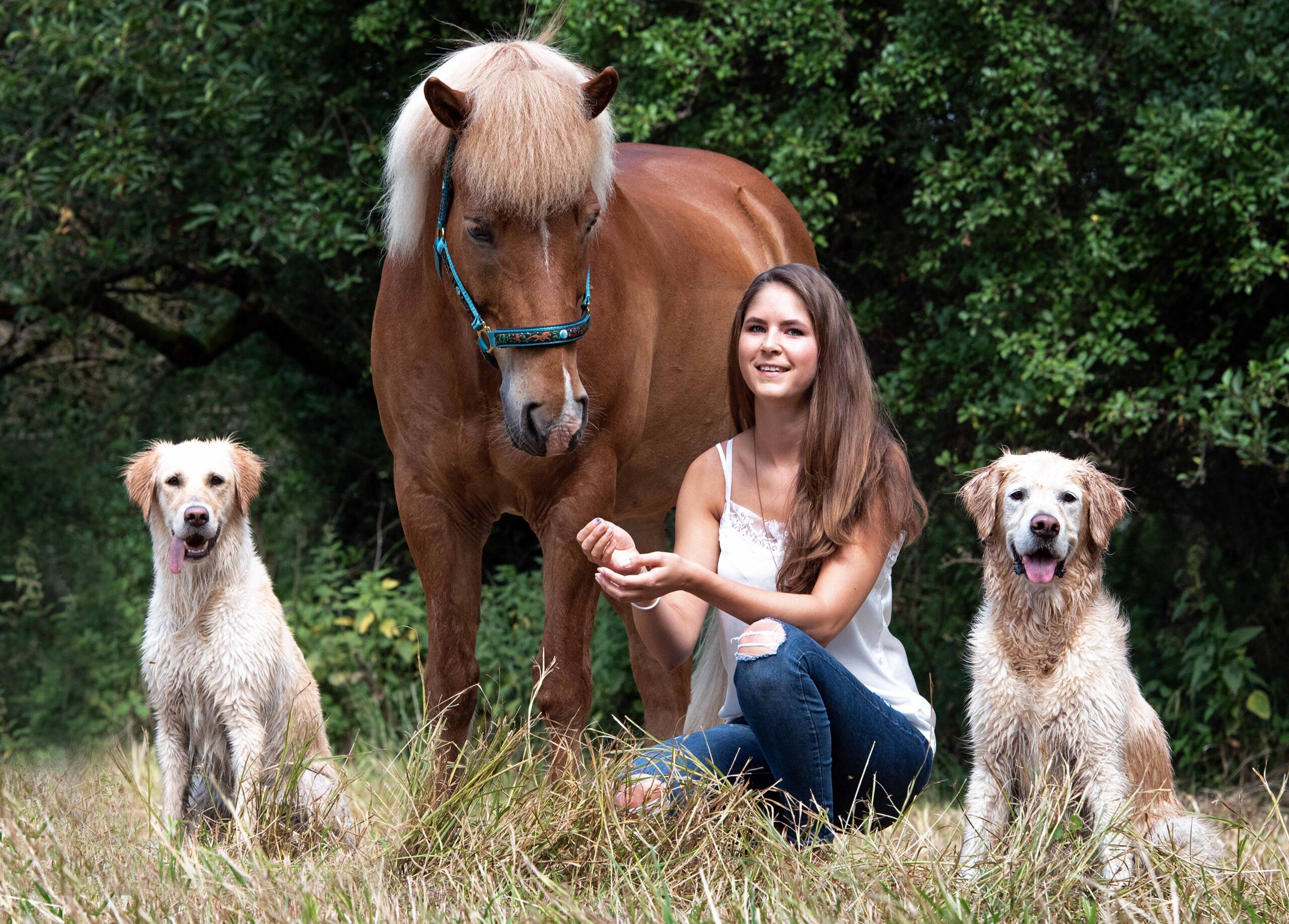 Karen Diehn Archivbild Islandpferd Golden Retriever