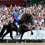 Islandpferde WM Teilnehmer