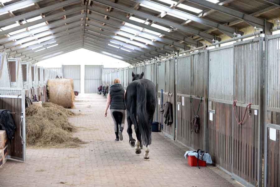 Stallgasse mit geführtem Pferd