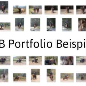B2B Fotoshooting: Fotografie für Trainer, Höfe, Züchter …